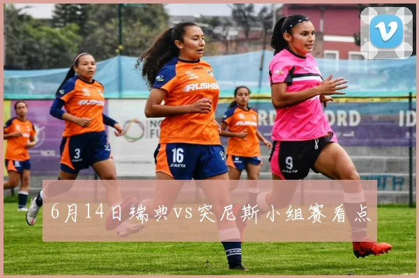 6月14日瑞典vs突尼斯小组赛看点