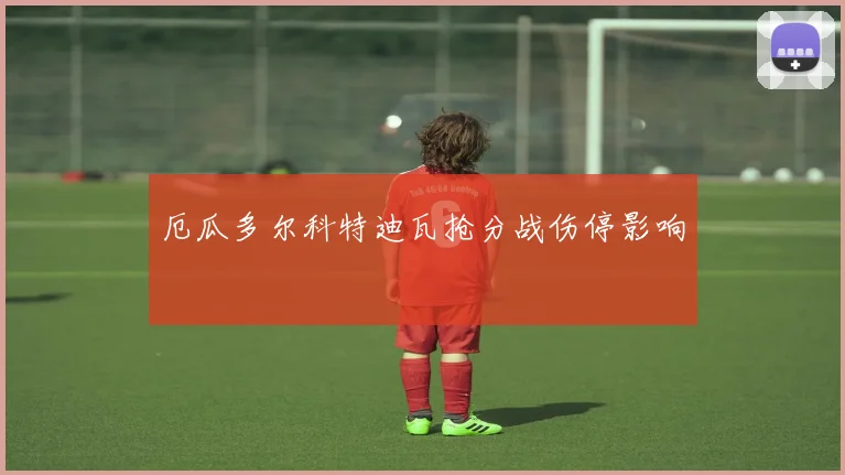厄瓜多尔科特迪瓦抢分战伤停影响