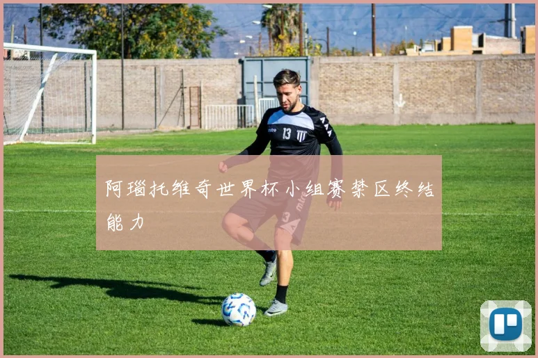 阿瑙托维奇世界杯小组赛禁区终结能力