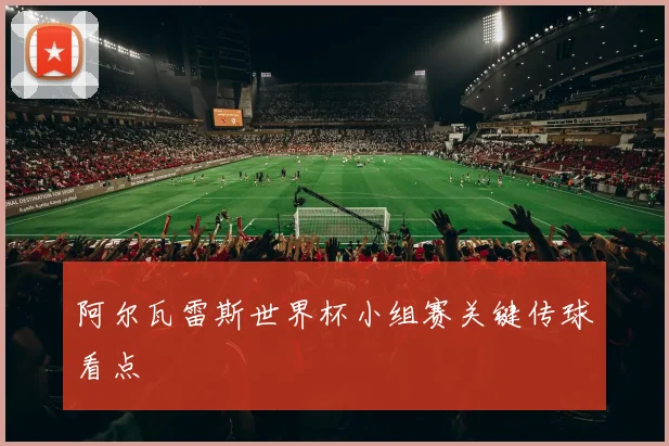 阿尔瓦雷斯世界杯小组赛关键传球看点