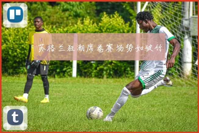 苏格兰狂潮席卷赛场势如破竹