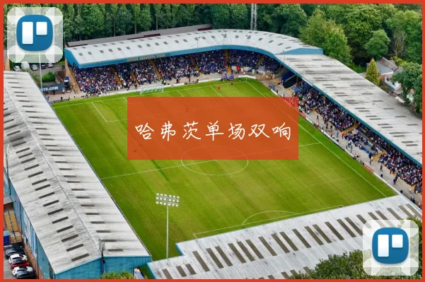 哈弗茨单场双响