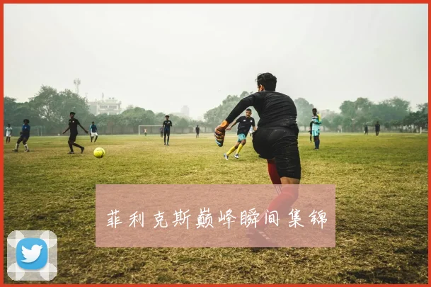 菲利克斯巅峰瞬间集锦