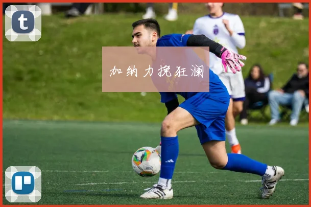 加纳力挽狂澜