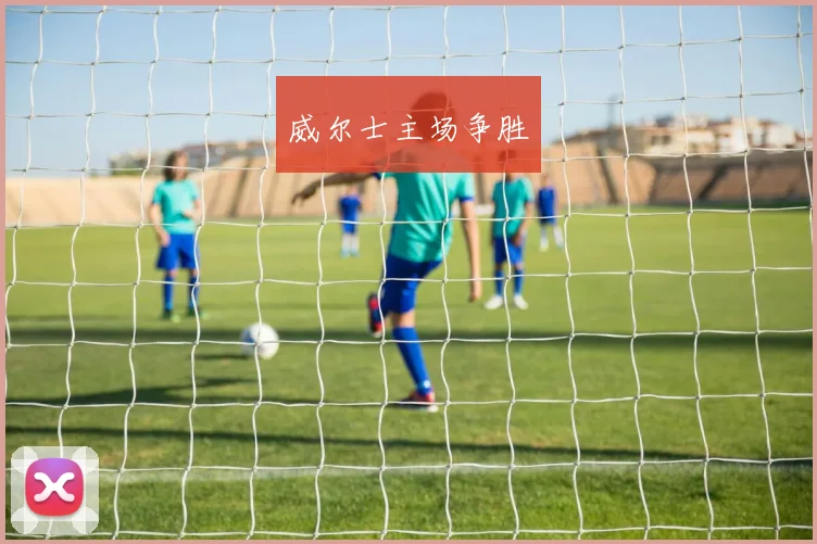 威尔士主场争胜