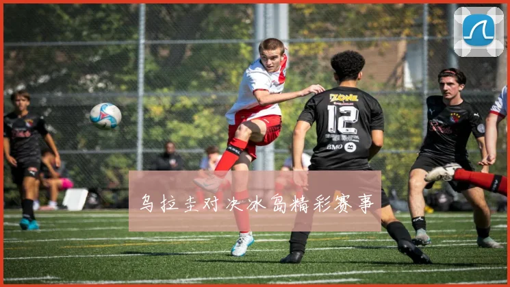 乌拉圭对决冰岛精彩赛事