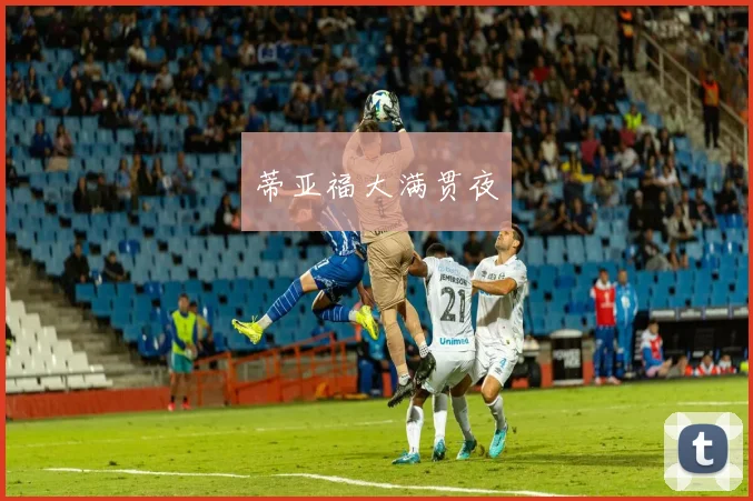 蒂亚福大满贯夜
