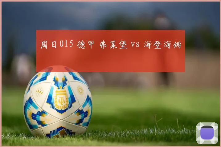 周日015 德甲 弗莱堡 vs 海登海姆