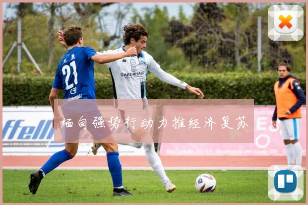 缅甸强势行动力推经济复苏