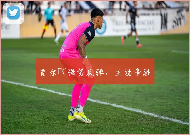 首尔FC强势反弹，主场争胜