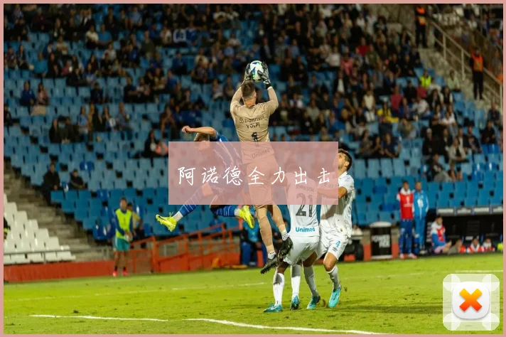 阿诺德全力出击