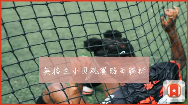 英格兰小贝观赛赔率解析
