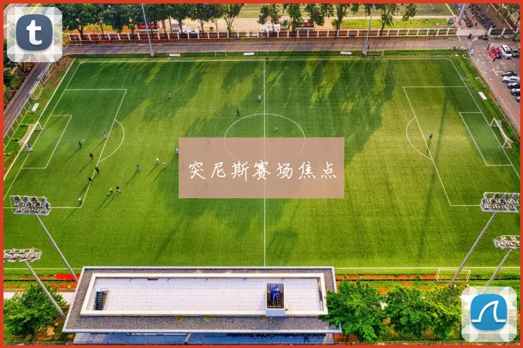 突尼斯赛场焦点