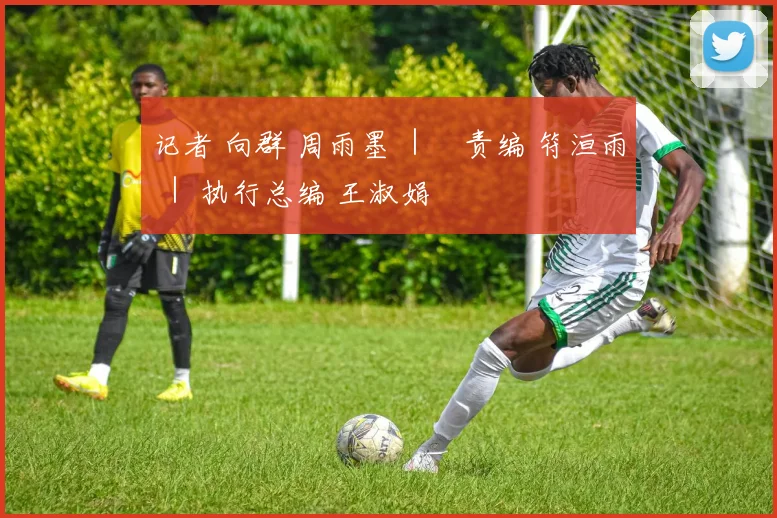 记者 向群 周雨墨 ｜ 责编 符洹雨 ｜ 执行总编 王淑娟