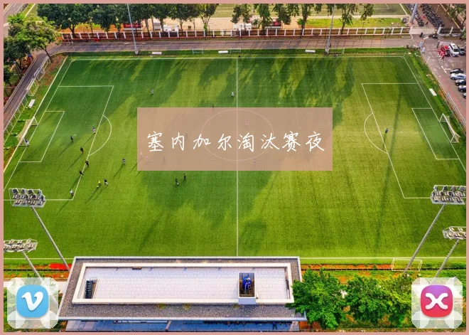 塞内加尔淘汰赛夜