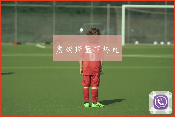 詹姆斯篮下终结