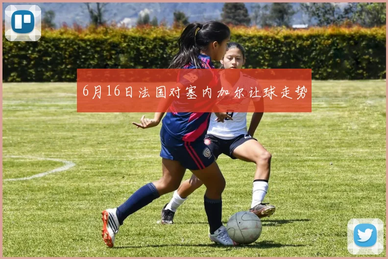 6月16日法国对塞内加尔让球走势