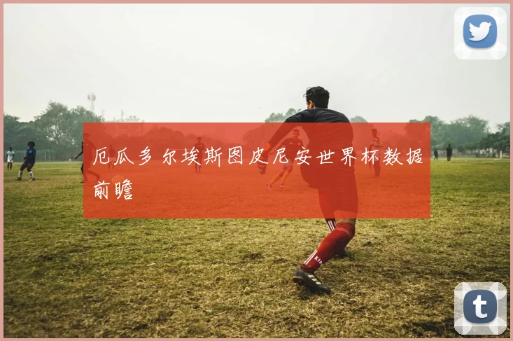 厄瓜多尔埃斯图皮尼安世界杯数据前瞻