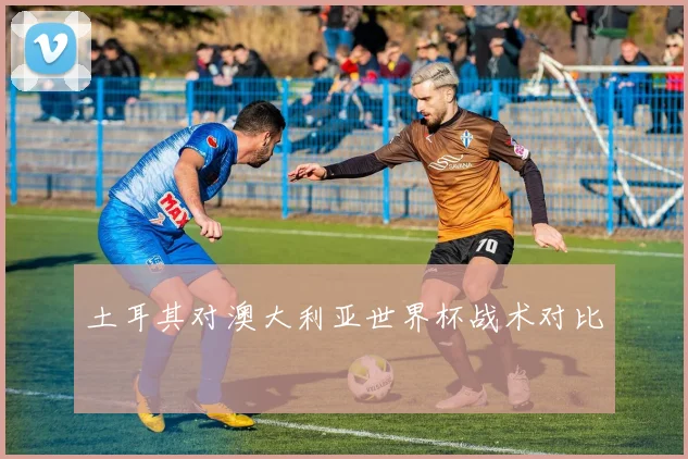 土耳其对澳大利亚世界杯战术对比