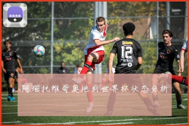 阿瑙托维奇奥地利世界杯状态分析