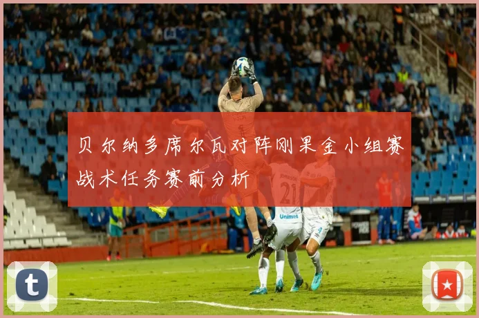 贝尔纳多席尔瓦对阵刚果金小组赛战术任务赛前分析